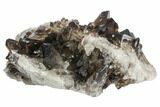 Dark Smoky Quartz Crystal Cluster - Brazil #124610-1